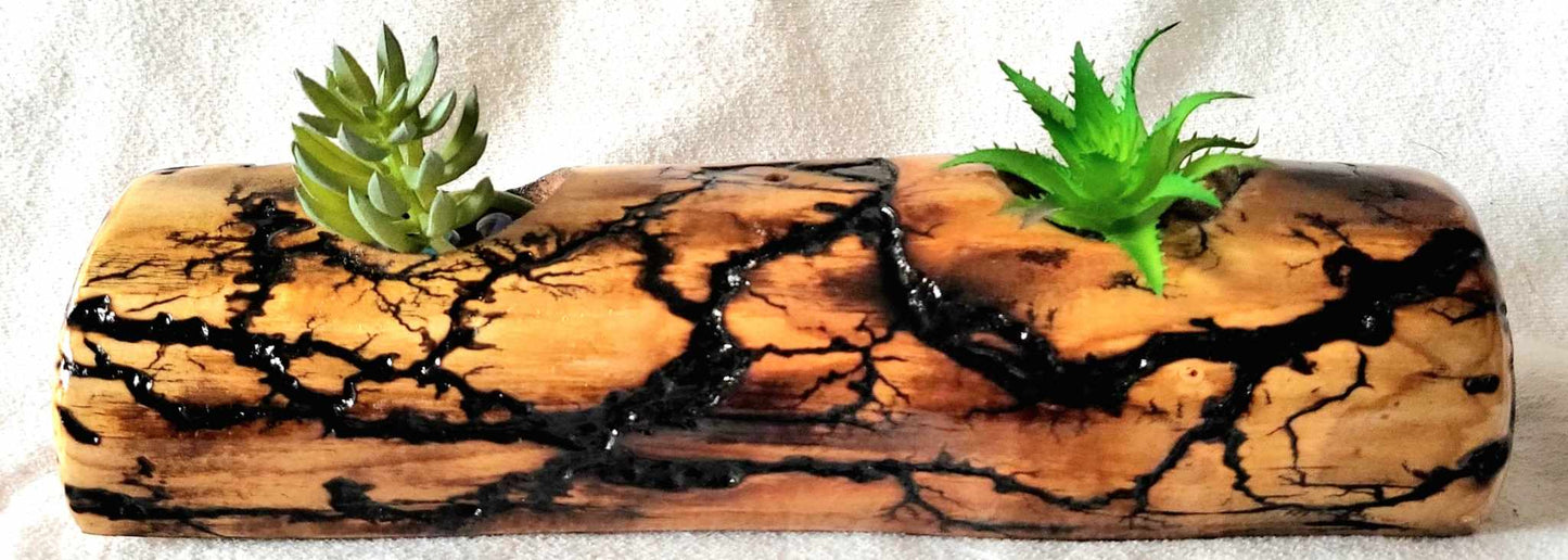 Fractal Burned Small Plant (Succulent or Air Plant) Holder - Candle Holder