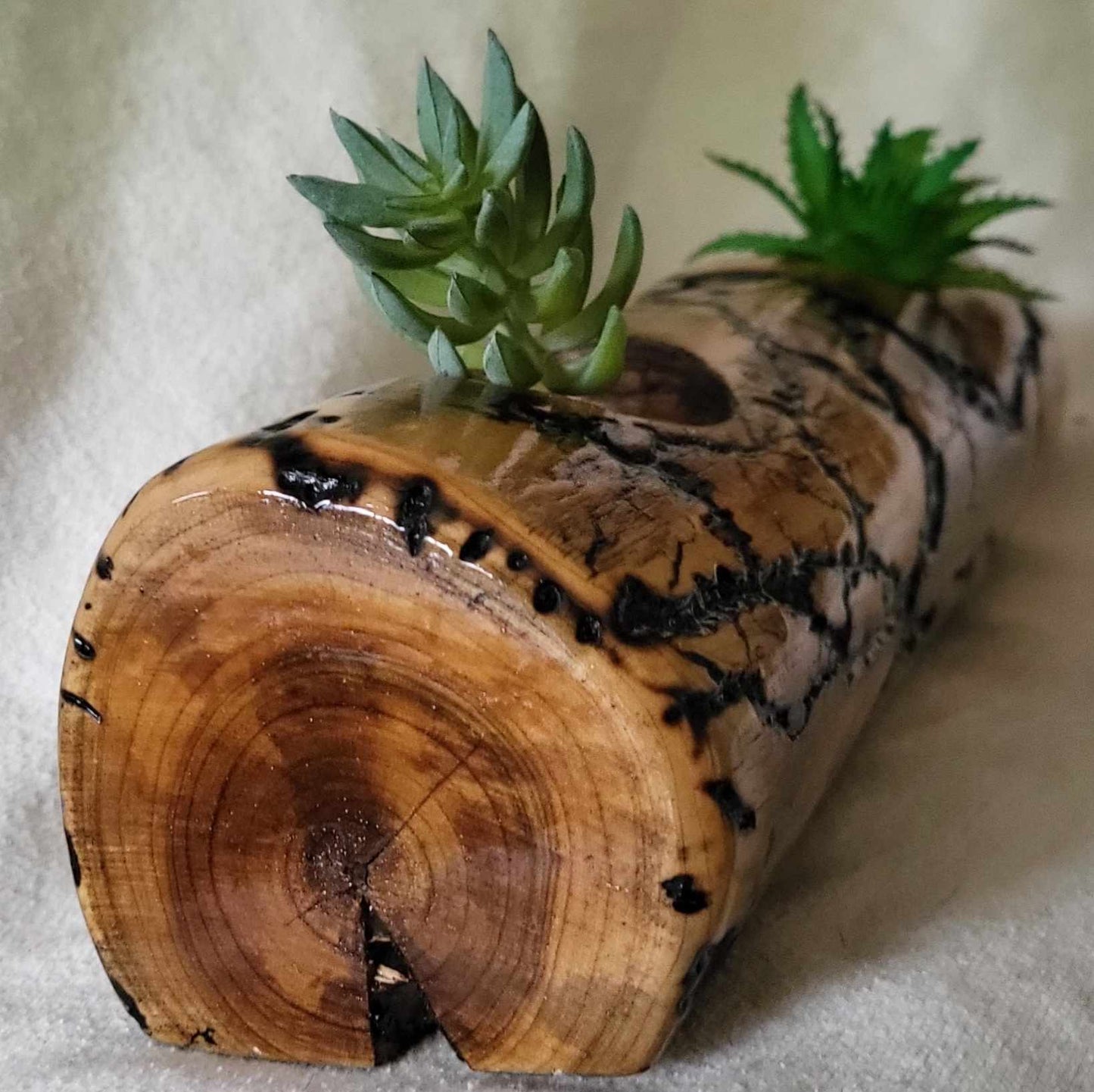 Fractal Burned Small Plant (Succulent or Air Plant) Holder - Candle Holder