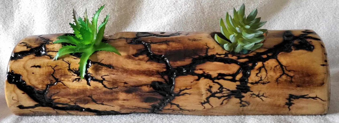 Fractal Burned Small Plant (Succulent or Air Plant) Holder - Candle Holder