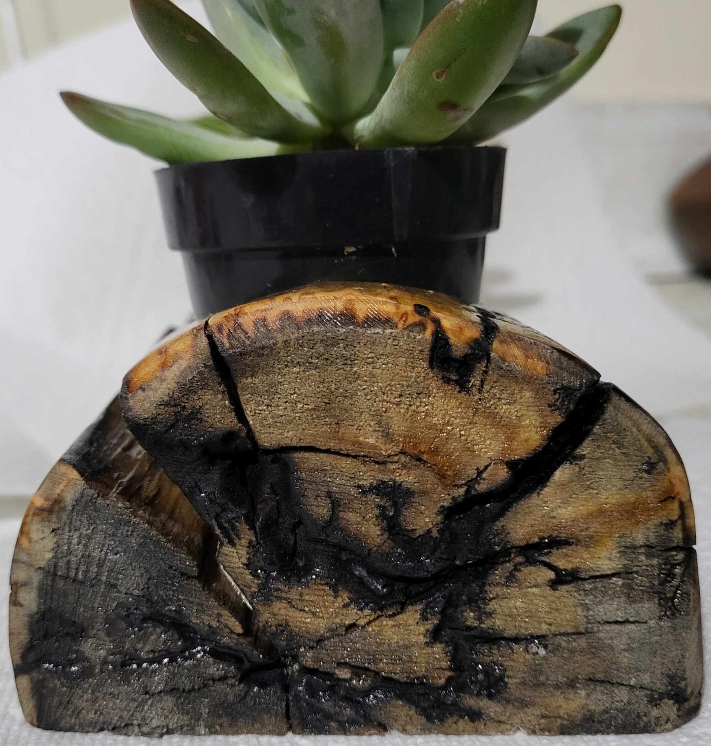 Fractal Burned Solid Wood Plant ( Succulent or Air Plant) Holder or Votive Candle Holder