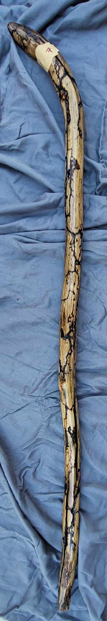 #7 46" Ornate Aspen Wood Hiking Accessory