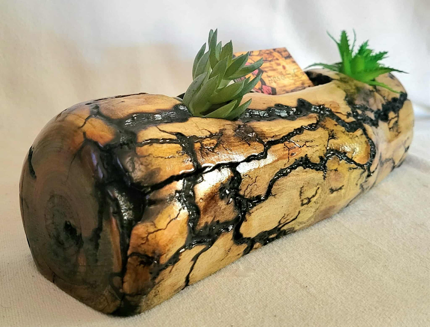 Fractal Burned Small Plant (Succulent or Air Plant) Holder & Business Card Holder