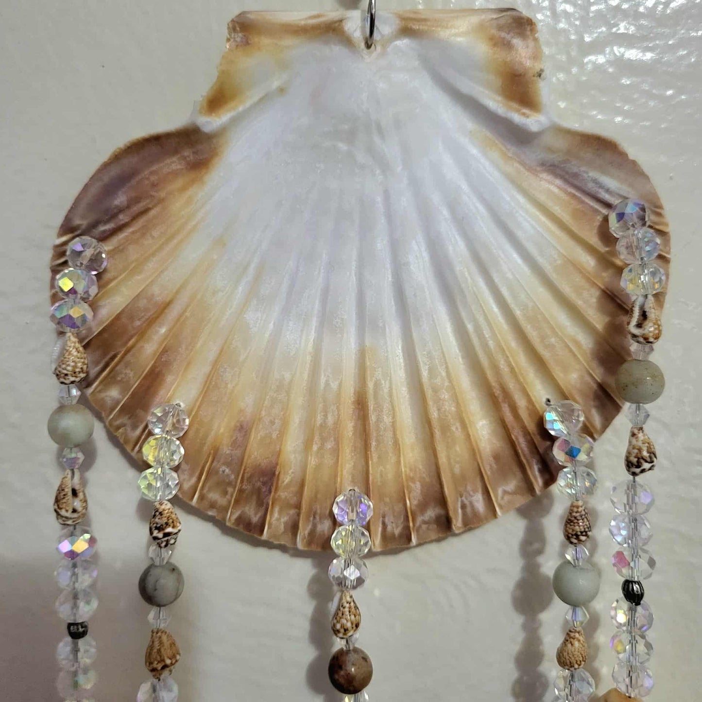 Natural Seashell, Crystal Suncatcher, Shell Suncatcher, Coastal and Beach Suncatcher - Windchimes - Rainbow Jasper & Amazonite Stones